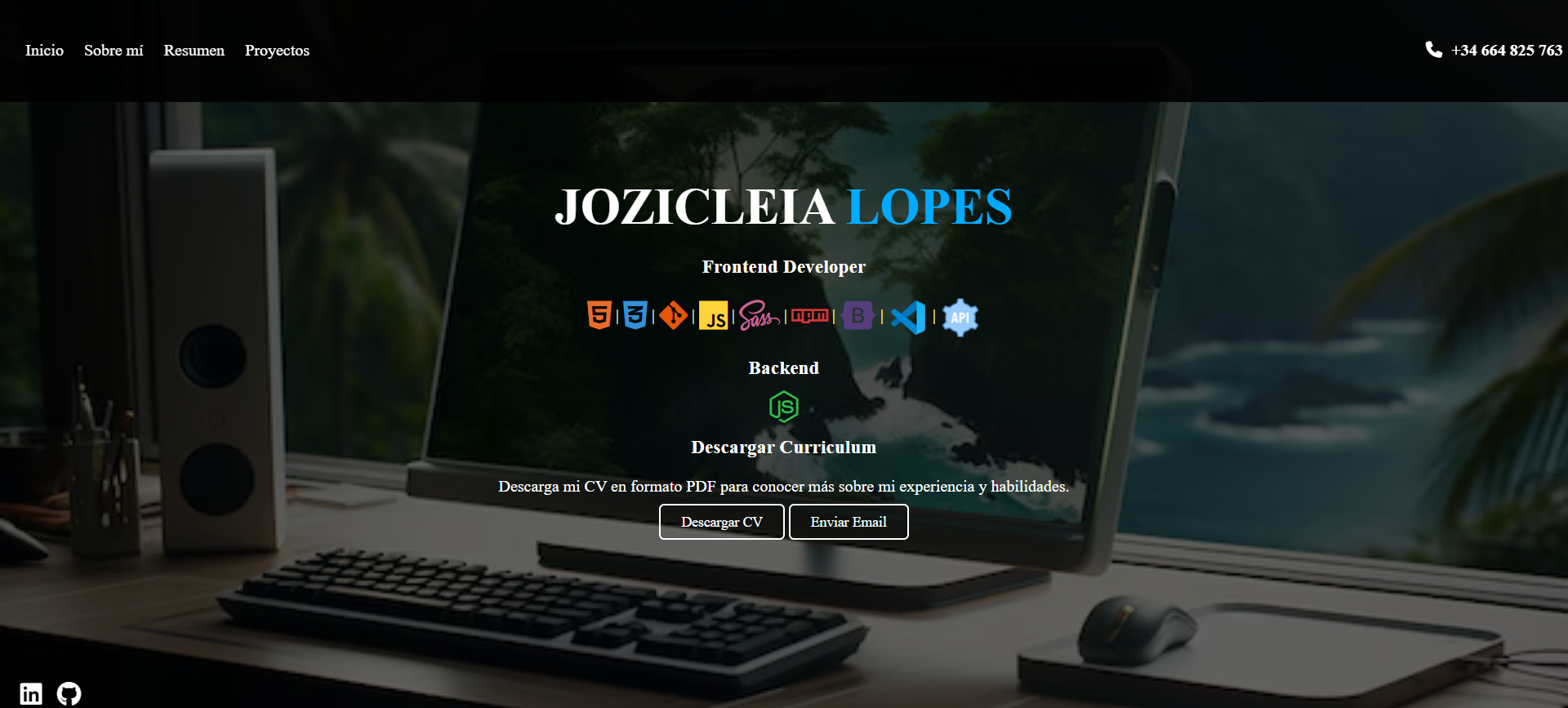 Vista previa del portafolio